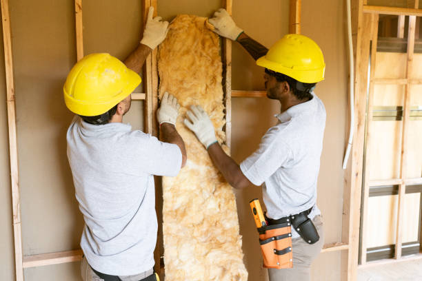 Best Crawl Space Insulation  in Erda, UT